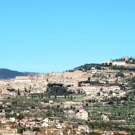 Locazione Turistica Orto Degli Ulivi